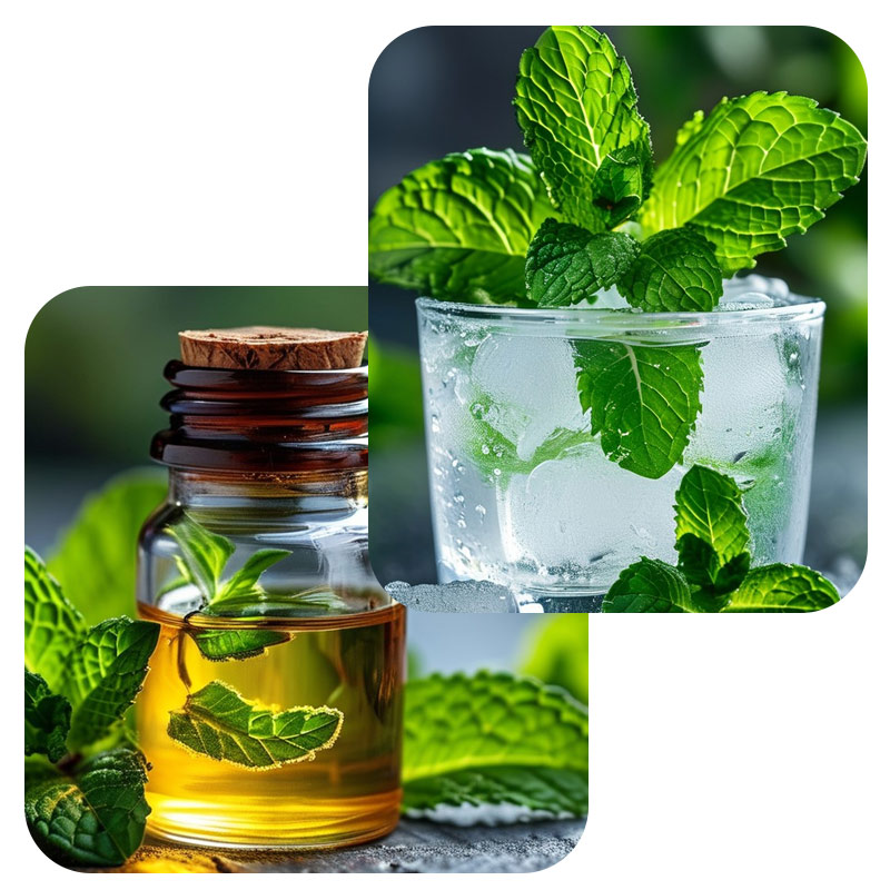 1761015733125706.jpg 1761015733125706.jpg